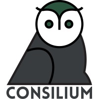 Consilium Solutions LLC